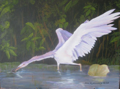 Gallery 78